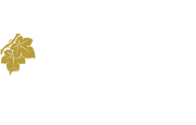 Ruta de vino Rioja Alavesa
